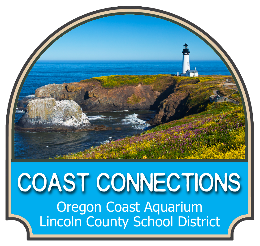 COAST CONNECTIONS