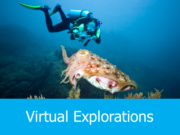 Virtual Explorations