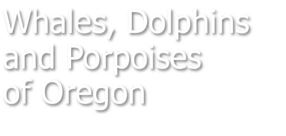 Whales Dolphins and Porpoises of Oregon