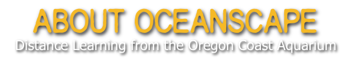 About Oceanscape