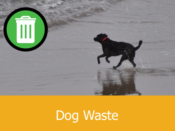 Dog waste