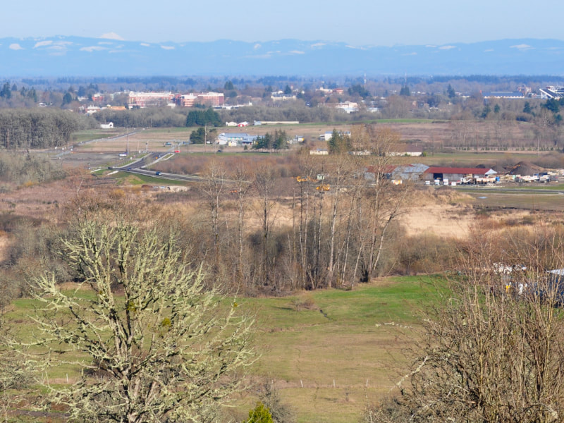 The view of Corvallis from the top of Bald Hill. 