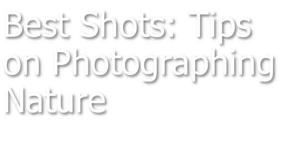 Best Shots: Tips on Photographing Nature
