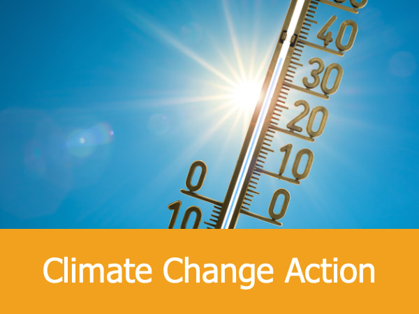 Climate change action