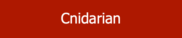 Cnidarian