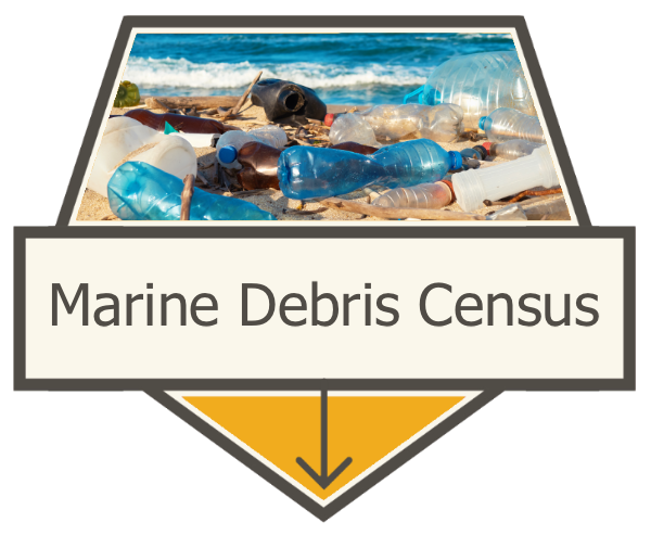 Marine Debris Census