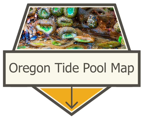 Oregon Tide Pool Map