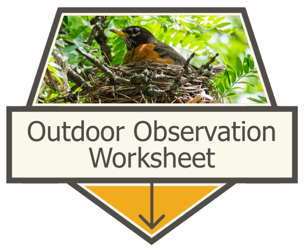 Outdoor Observation Worksheet