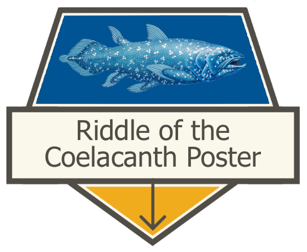 Riddle of the Coelacanth Poster