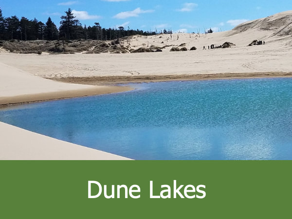 Dune Lakes