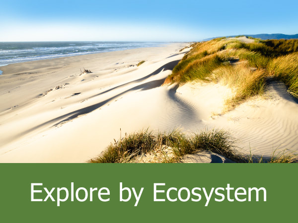 Explore by Ecosystems