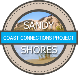 Coast Connections Sandy Shores