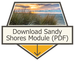 Download Sandy Shores PDF