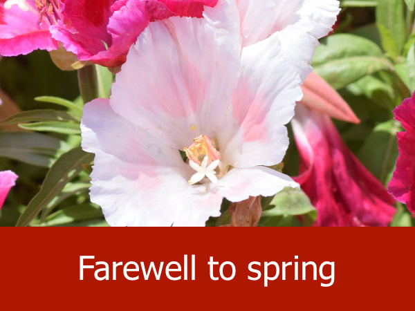 Farewell to Spring