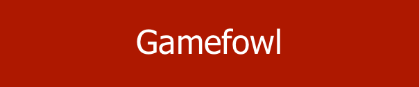 Gamefowl