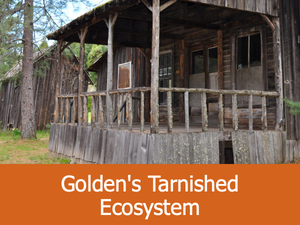 Golden's Tarnished Ecosystem
