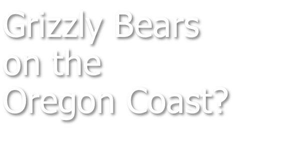 Grizzly Bears on the Oregon Coast