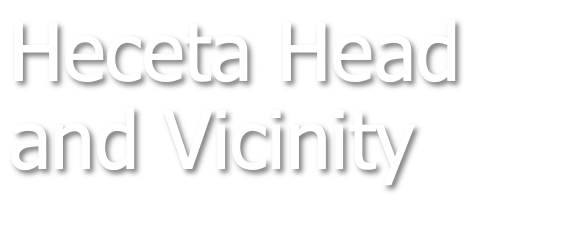 Heceta Head and Vicinity