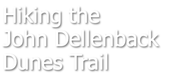 Hiking the John Dellenback Dunes Trail