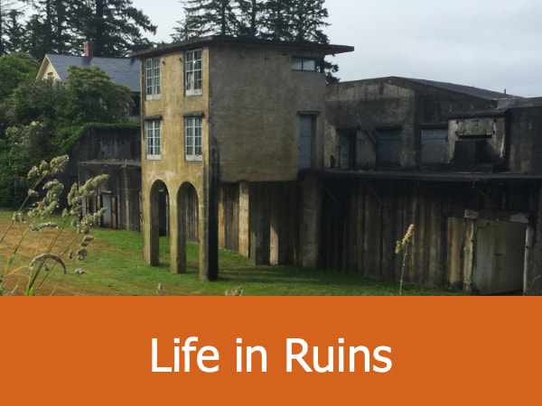 Life in Ruins