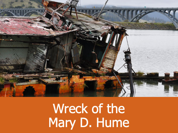 Life in Ruins The Mary D Hume
