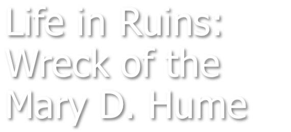 Life in Ruins: Wreck of the Mary D. Hume