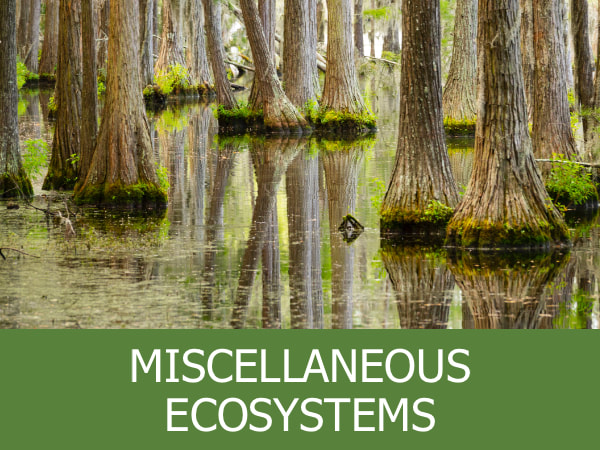 Miscellaneous Ecosystems