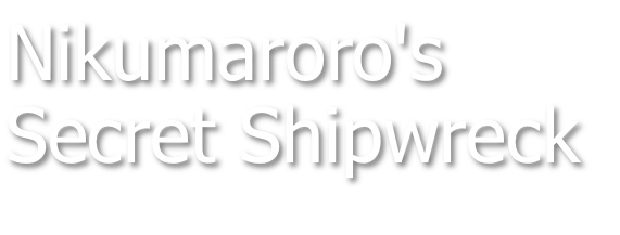 Nikumaroro's Secret Shipwreck