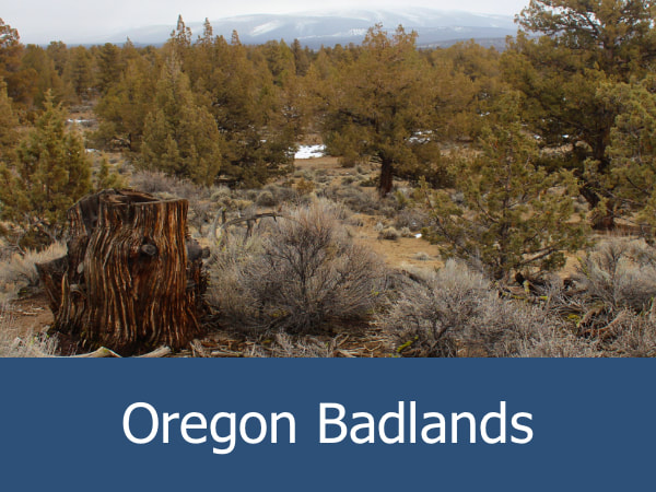 Oregon Badlands
