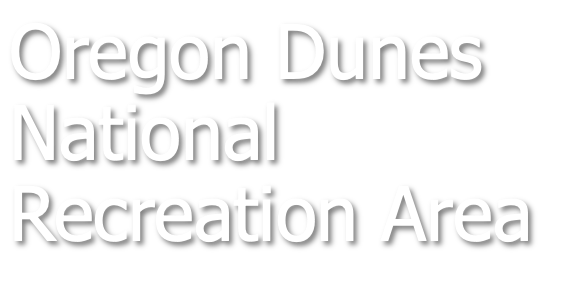 Oregon Dunes National Recreation Area