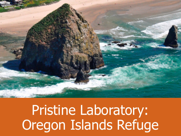 Pristine Laboratory: Oregon Islands National Refuge