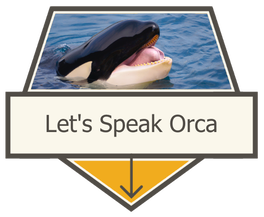 Let's Speak Orca Download