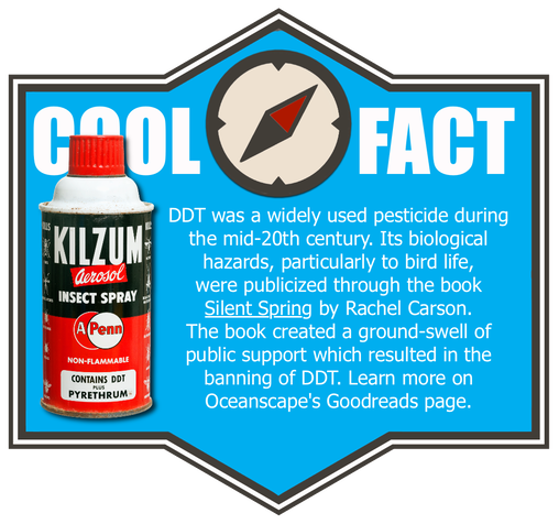 DDT Cool Fact