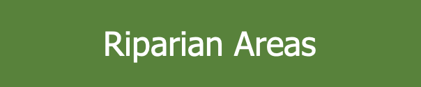 Riparian Areas