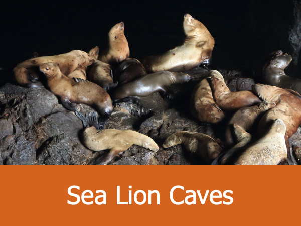 Landmark Place: Sea Lion Caves