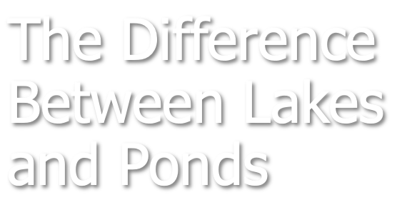 The Difference Between Lakes and Ponds