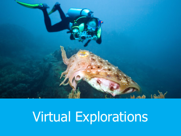 Virtual Explorations