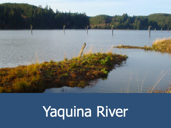 Yaquina River